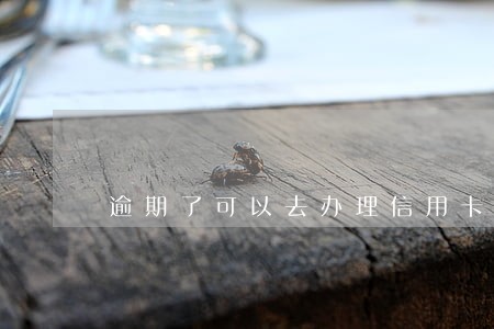 逾期了可以去办理信用卡吗 逾期了可以去办理信用卡吗