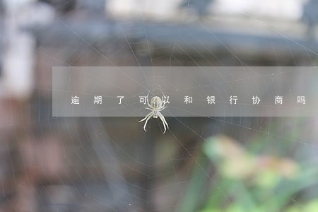 逾期了可以和银行协商吗 逾期了可以和银行协商吗