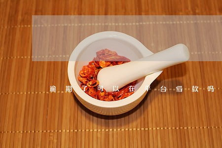 逾期了可以在平台借款吗 逾期了可以在平台借款吗