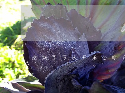 逾期了可以开基金账户吗 逾期了可以开基金账户吗