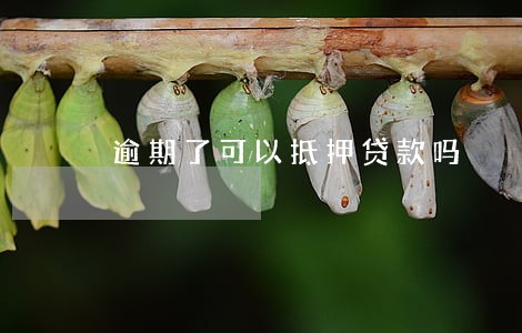 逾期了可以抵押贷款吗 逾期了可以抵押贷款吗