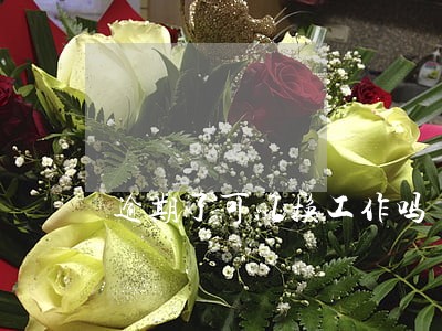 逾期了可以换工作吗