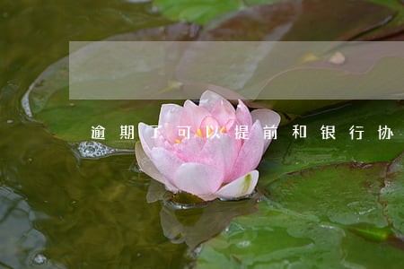 逾期了可以提前和银行协商 逾期了可以提前和银行协商