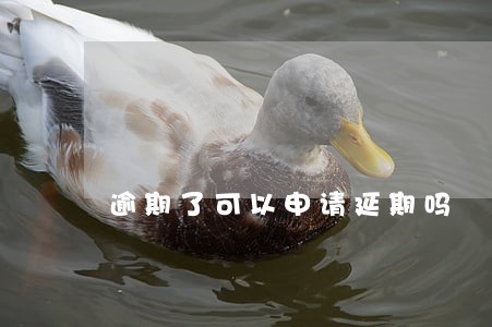 逾期了可以申请延期吗 逾期了可以申请延期吗