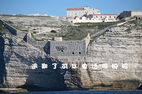 逾期了可以电话报税吗 逾期了可以电话报税吗