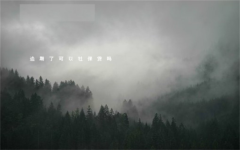逾期了可以社保贷吗