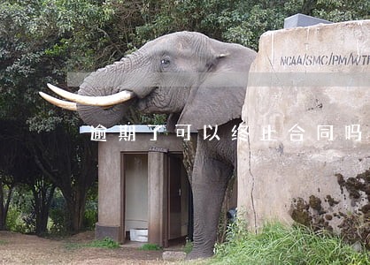 逾期了可以终止合同吗 逾期了可以终止合同吗