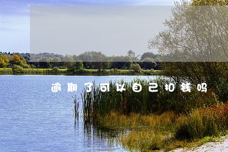 逾期了可以自己扣钱吗 逾期了可以自己扣钱吗