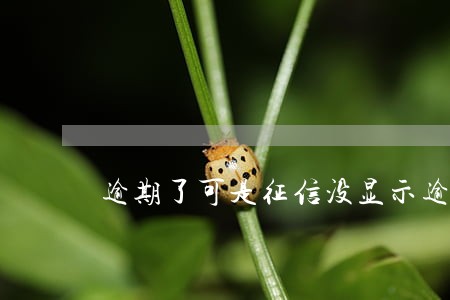 逾期了可是征信没显示逾期 逾期了可是征信没显示逾期
