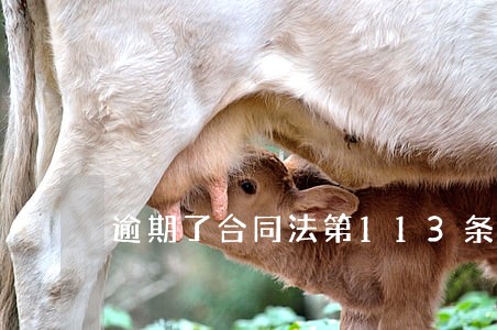 逾期了合同法第113条规定 逾期了合同法第113条规定