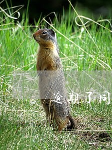 逾期了同系列的口子还会下吗 逾期了同系列的口子还会下吗