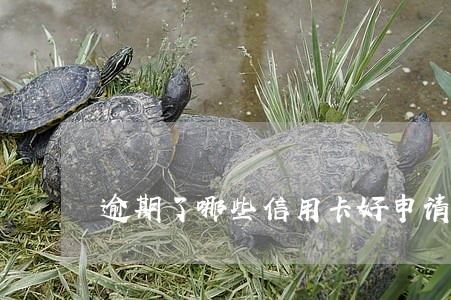 逾期了哪些信用卡好申请