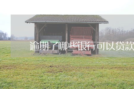 逾期了哪些银行可以贷款 逾期了哪些银行可以贷款