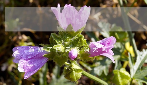 逾期了四天影响大吗 逾期了四天影响大吗