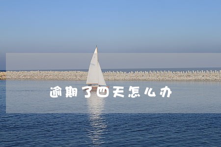 逾期了四天怎么办 逾期了四天怎么办