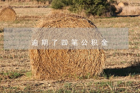 逾期了四笔公积金 逾期了四笔公积金