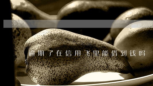 逾期了在信用飞里能借到钱吗 逾期了在信用飞里能借到钱吗
