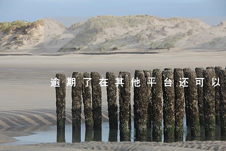 逾期了在其他平台还可以借款吗 逾期了在其他平台还可以借款吗