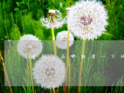 逾期了在哪能借一万块钱 逾期了在哪能借一万块钱