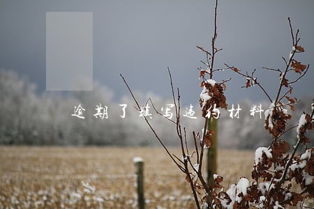 逾期了填写违约材料 逾期了填写违约材料