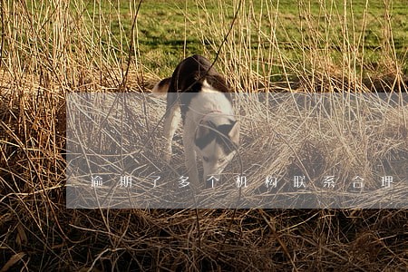 逾期了多个机构联系合理吗 逾期了多个机构联系合理吗