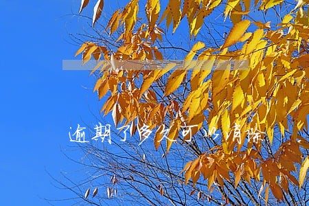 逾期了多久可以消除