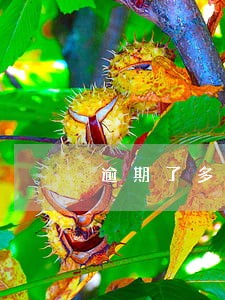 逾期了多久征信报告会查得出来 逾期了多久征信报告会查得出来