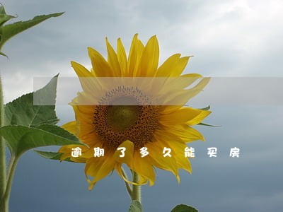 逾期了多久能买房 逾期了多久能买房