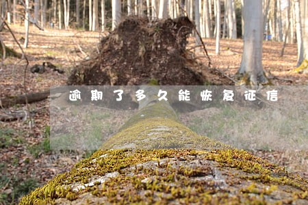 逾期了多久能恢复征信 逾期了多久能恢复征信