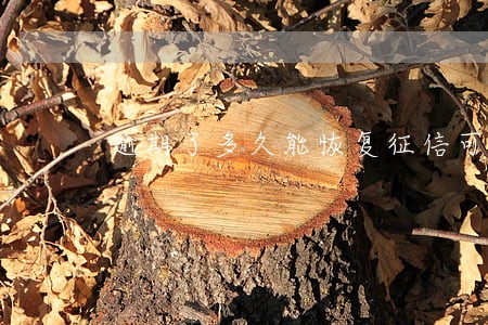 逾期了多久能恢复征信可以贷款 逾期了多久能恢复征信可以贷款