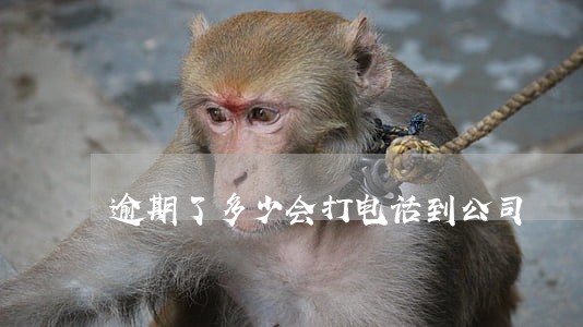 逾期了多少会打电话到公司 逾期了多少会打电话到公司