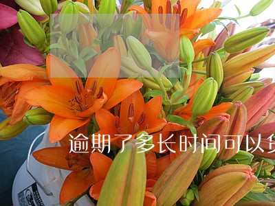 逾期了多长时间可以贷款 逾期了多长时间可以贷款