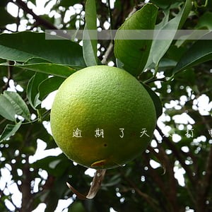 逾期了天天打电话 逾期了天天打电话
