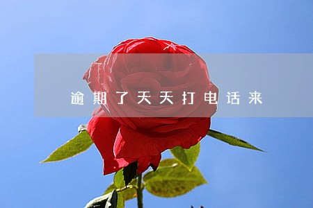 逾期了天天打电话来 逾期了天天打电话来