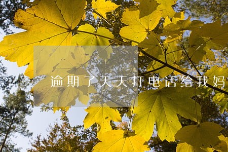 逾期了天天打电话给我妈 逾期了天天打电话给我妈