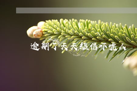 逾期了天天短信吓唬人 逾期了天天短信吓唬人