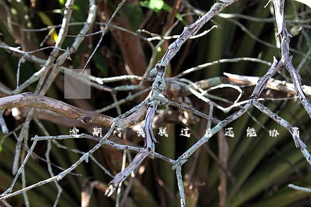 逾期了失联过后还能协商吗 逾期了失联过后还能协商吗