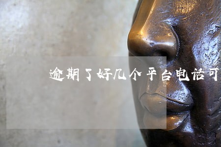 逾期了好几个平台电话可以不接么 逾期了好几个平台电话可以不接么