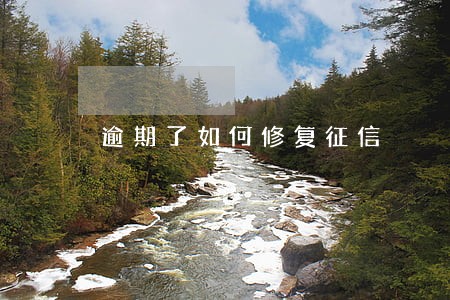 逾期了如何修复征信 逾期了如何修复征信