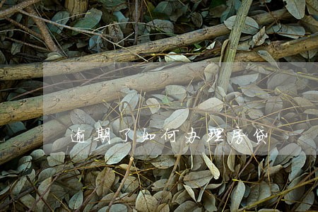逾期了如何办理房贷 逾期了如何办理房贷