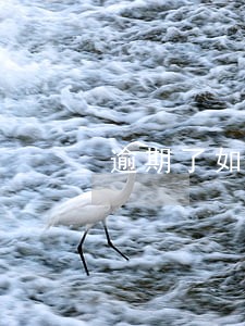 逾期了如何和客服报备 逾期了如何和客服报备