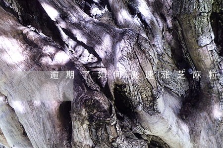 逾期了如何快速涨芝麻粒 逾期了如何快速涨芝麻粒