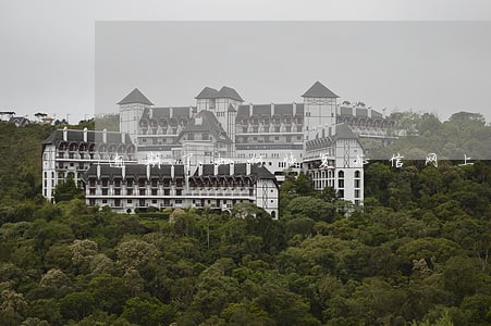 逾期了如何恢复征信网上诈骗 逾期了如何恢复征信网上诈骗