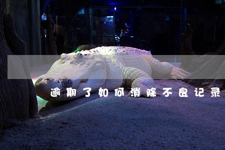 逾期了如何消除不良记录吗