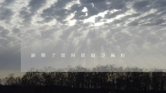 逾期了如何获取芝麻粒 逾期了如何获取芝麻粒