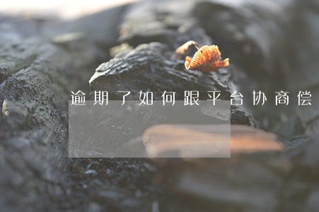 逾期了如何跟平台协商偿还本金 逾期了如何跟平台协商偿还本金