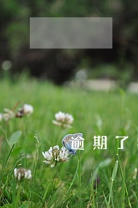 逾期了客服打电话能不能挂了 逾期了客服打电话能不能挂了
