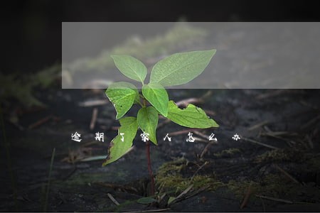 逾期了家人怎么办