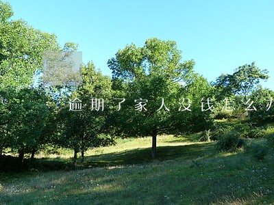 逾期了家人没钱怎么办 逾期了家人没钱怎么办