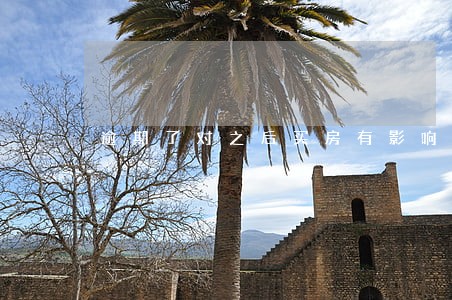 逾期了对之后买房有影响吗 逾期了对之后买房有影响吗